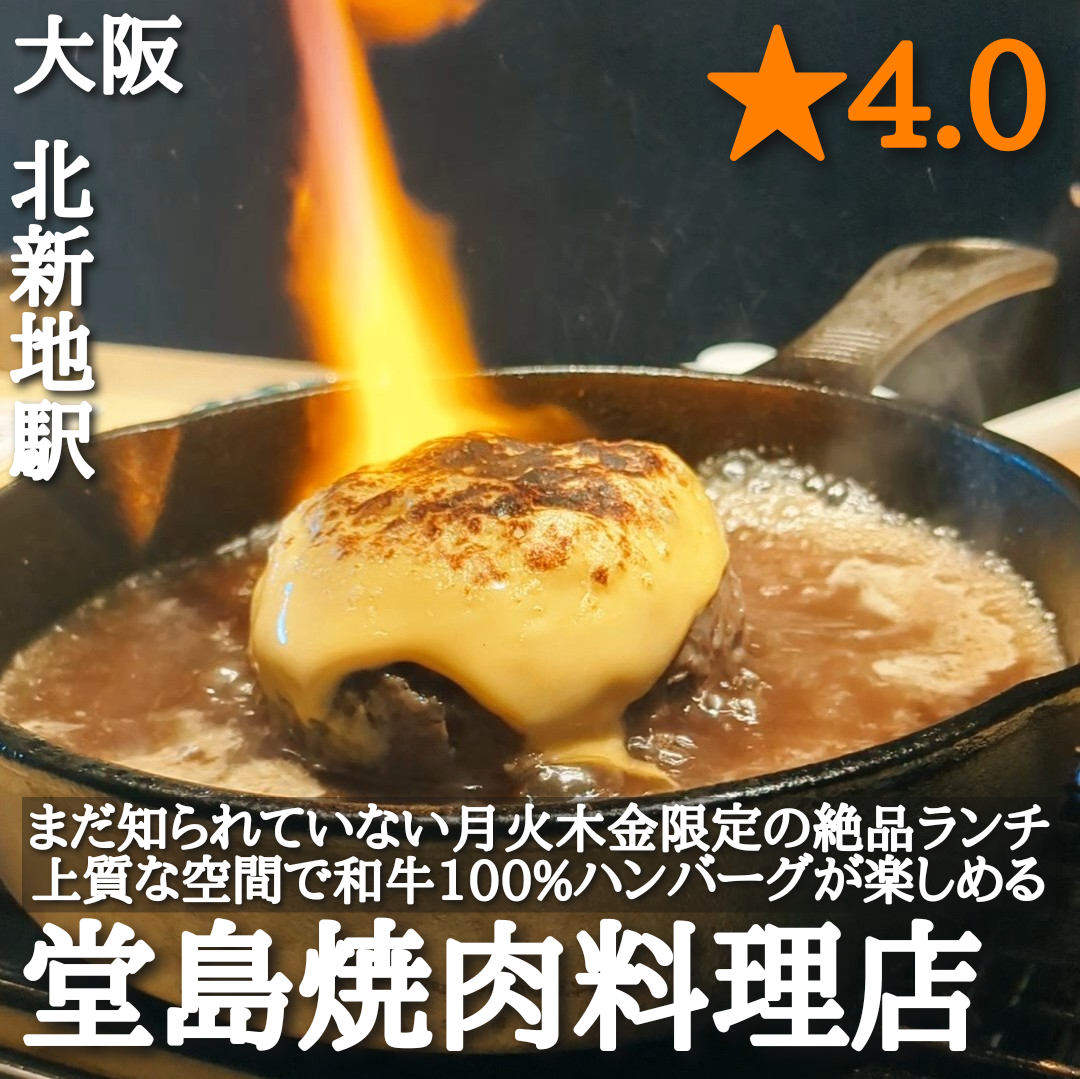 堂島焼肉料理店(北新地駅・焼肉、ハンバーグ)