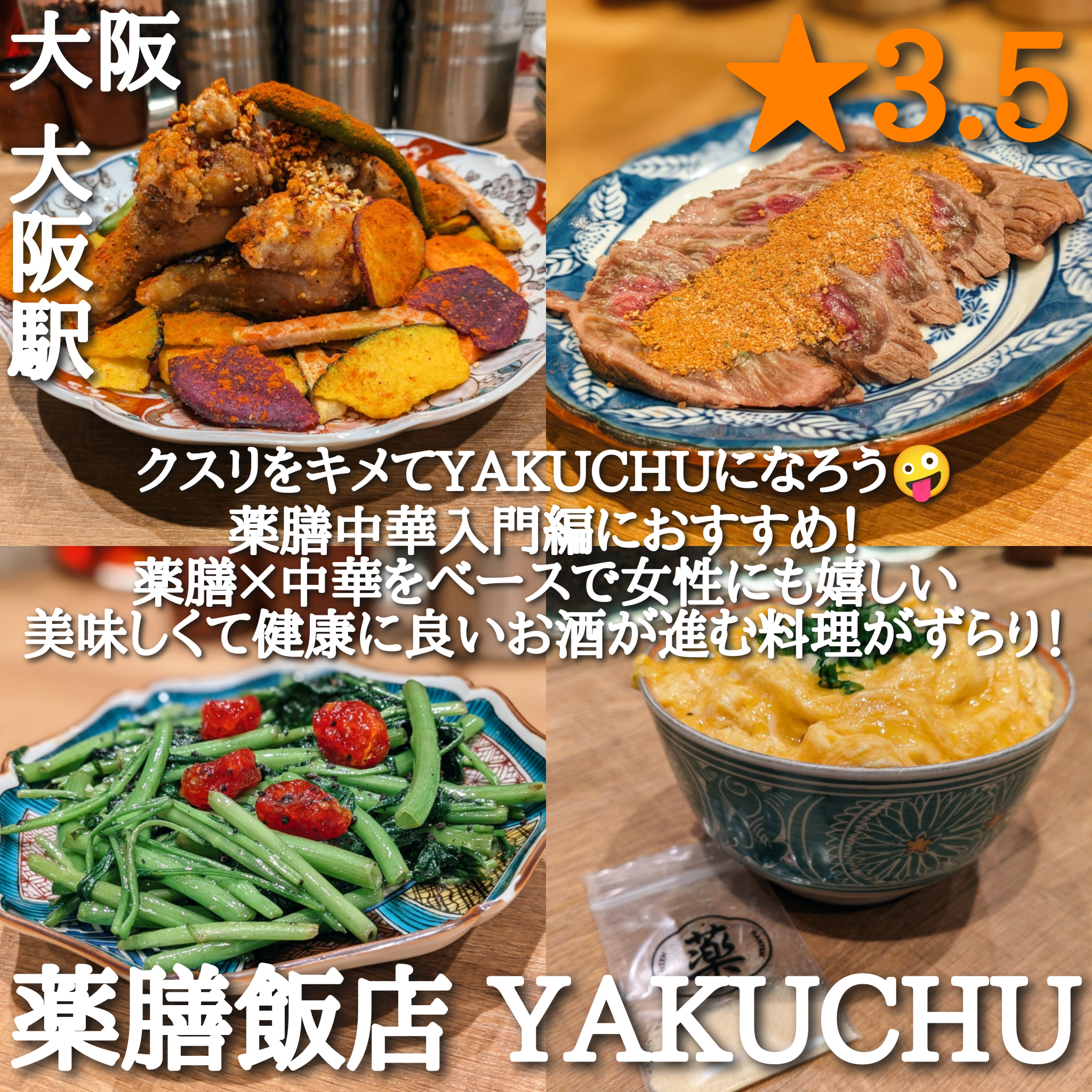 薬膳飯店 YAKUCHU バルチカ03(大阪駅、梅田駅・中華)