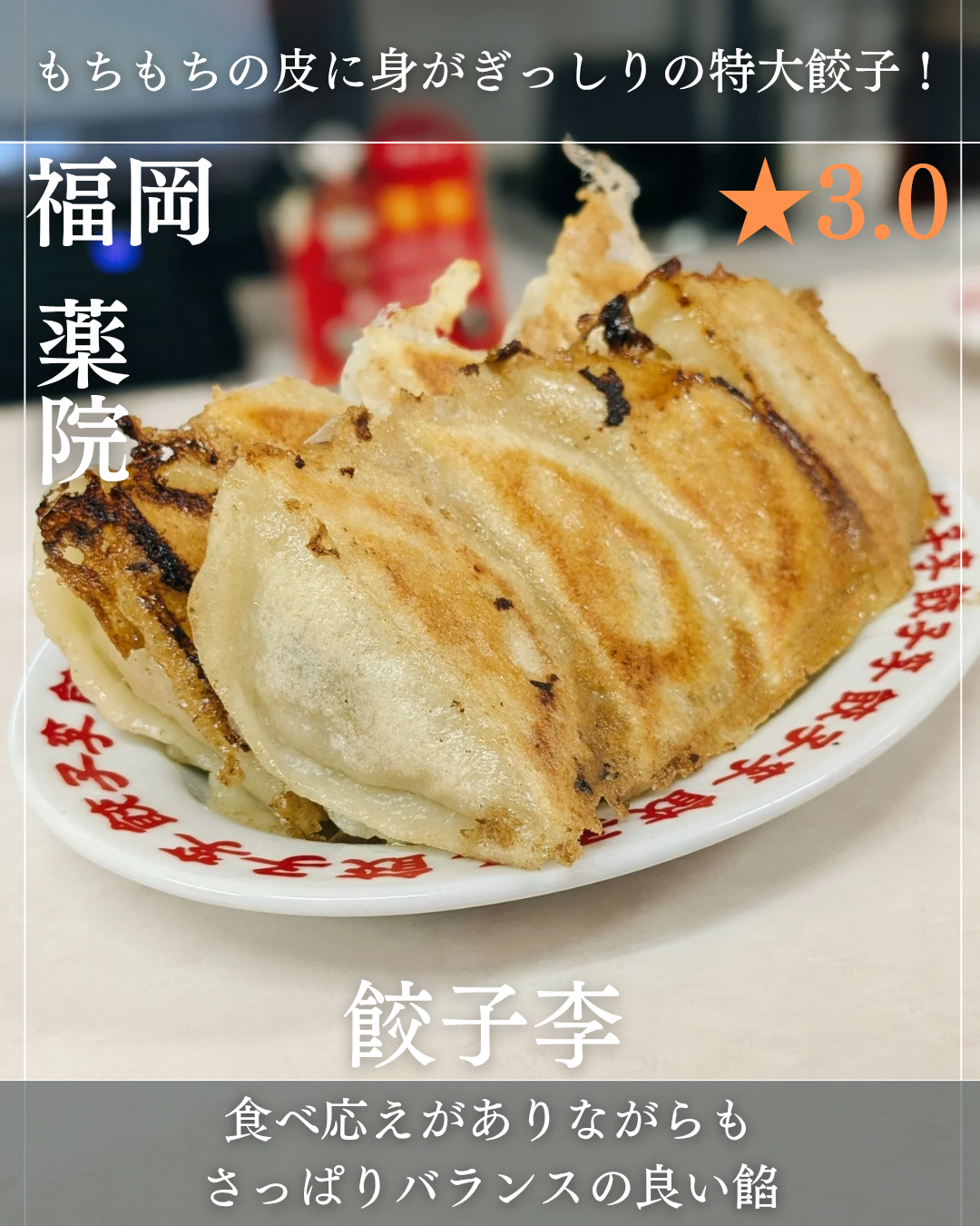 餃子李(薬院駅・中華料理) 餃子李(薬院駅・中華料理)