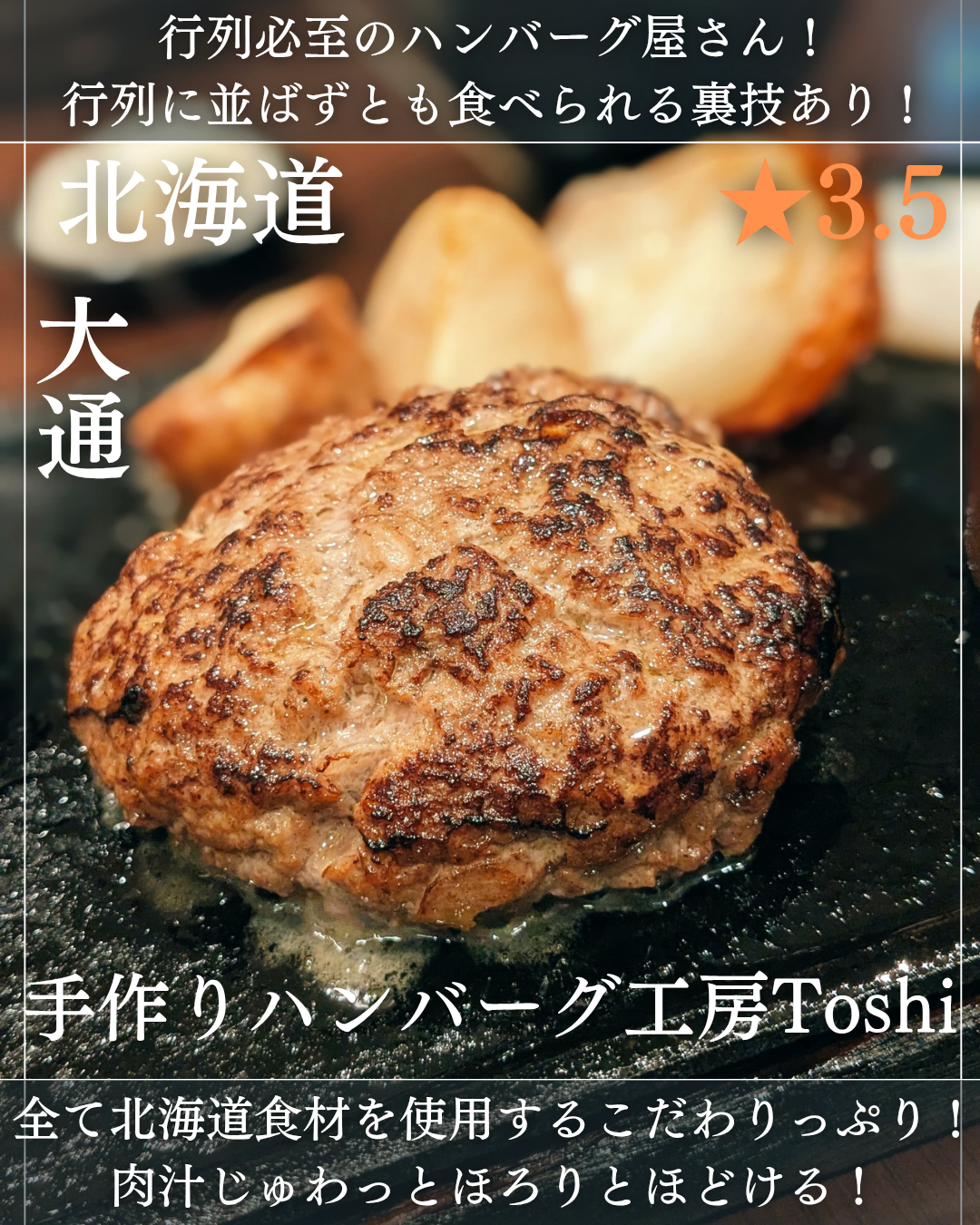 手作りハンバーグ工房Toshi(大通駅・ハンバーグ)