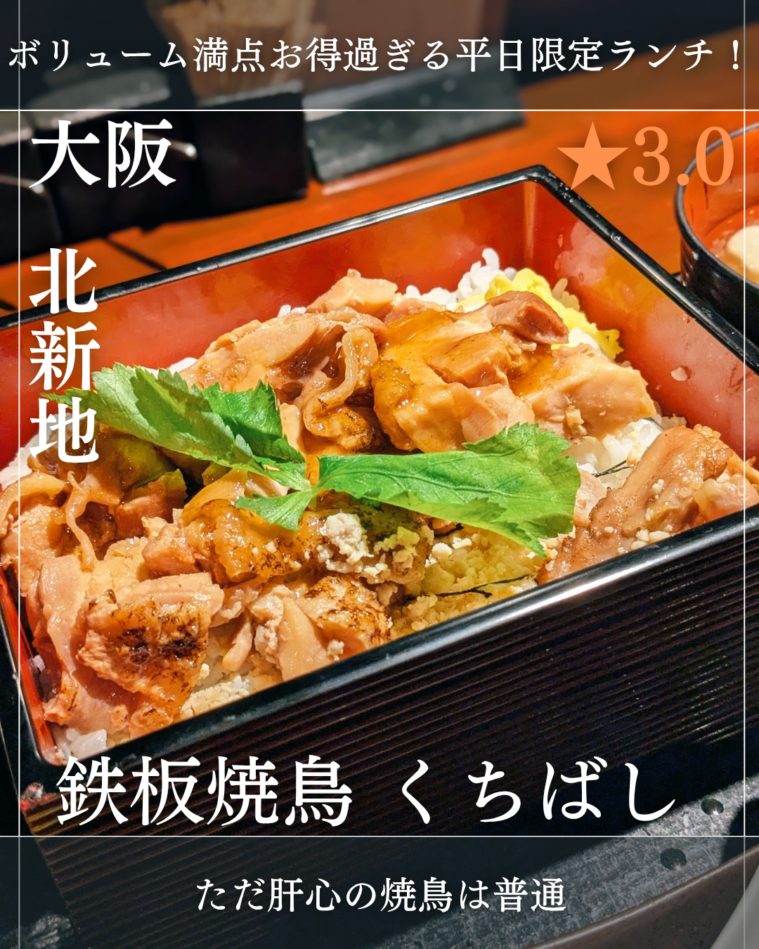 鉄板焼鳥 くちばし 北新地本店(北新地駅・焼鳥) 鉄板焼鳥 くちばし 北新地本店(北新地駅・焼鳥)