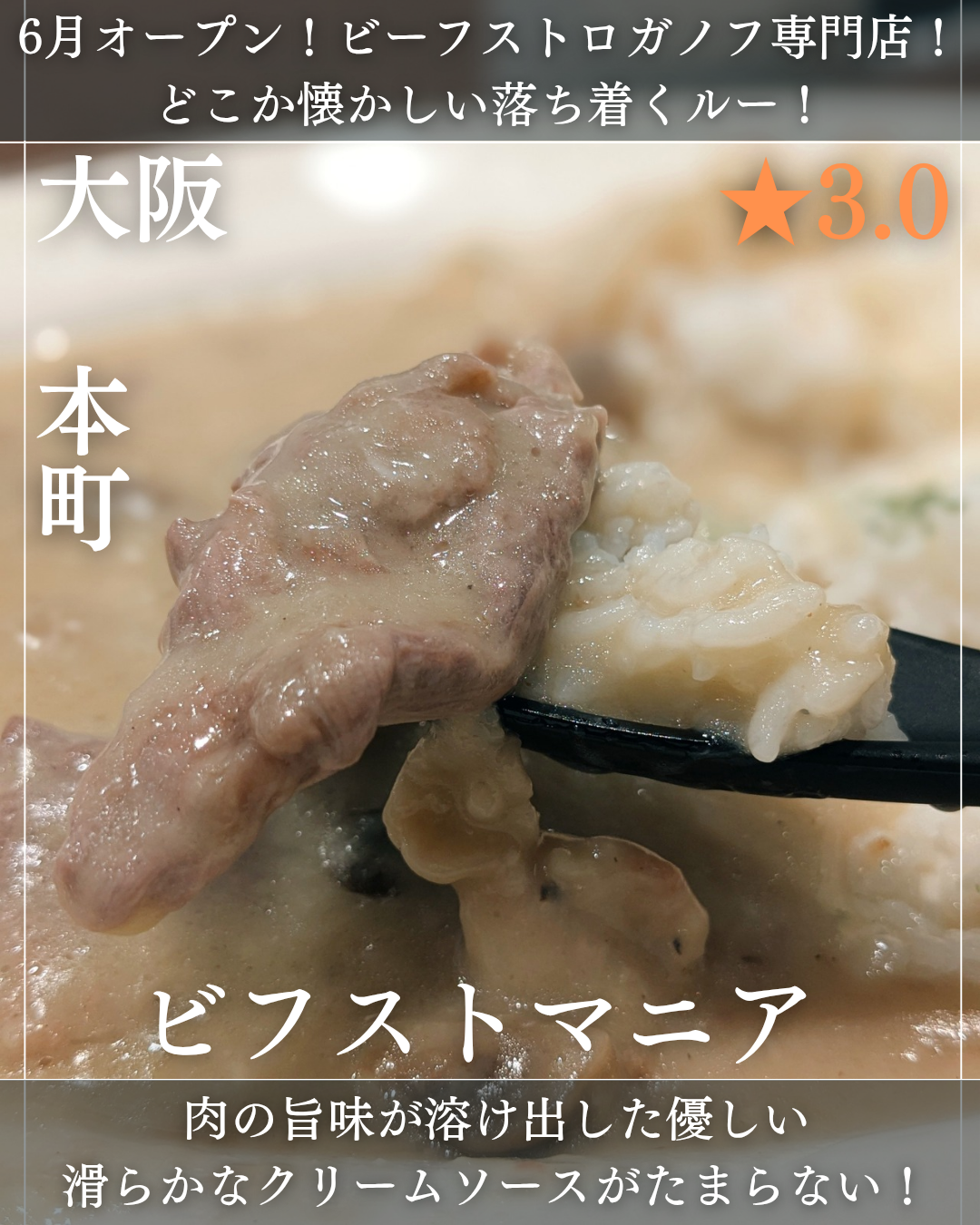 ビフストマニア(本町駅・ビーフストロガノフ)