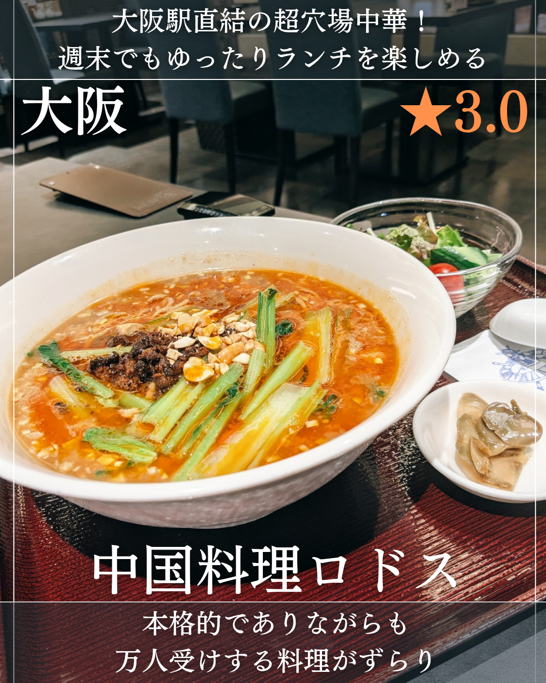 中国料理ロドス(大阪駅、サウスゲートビルディング・中華料理)