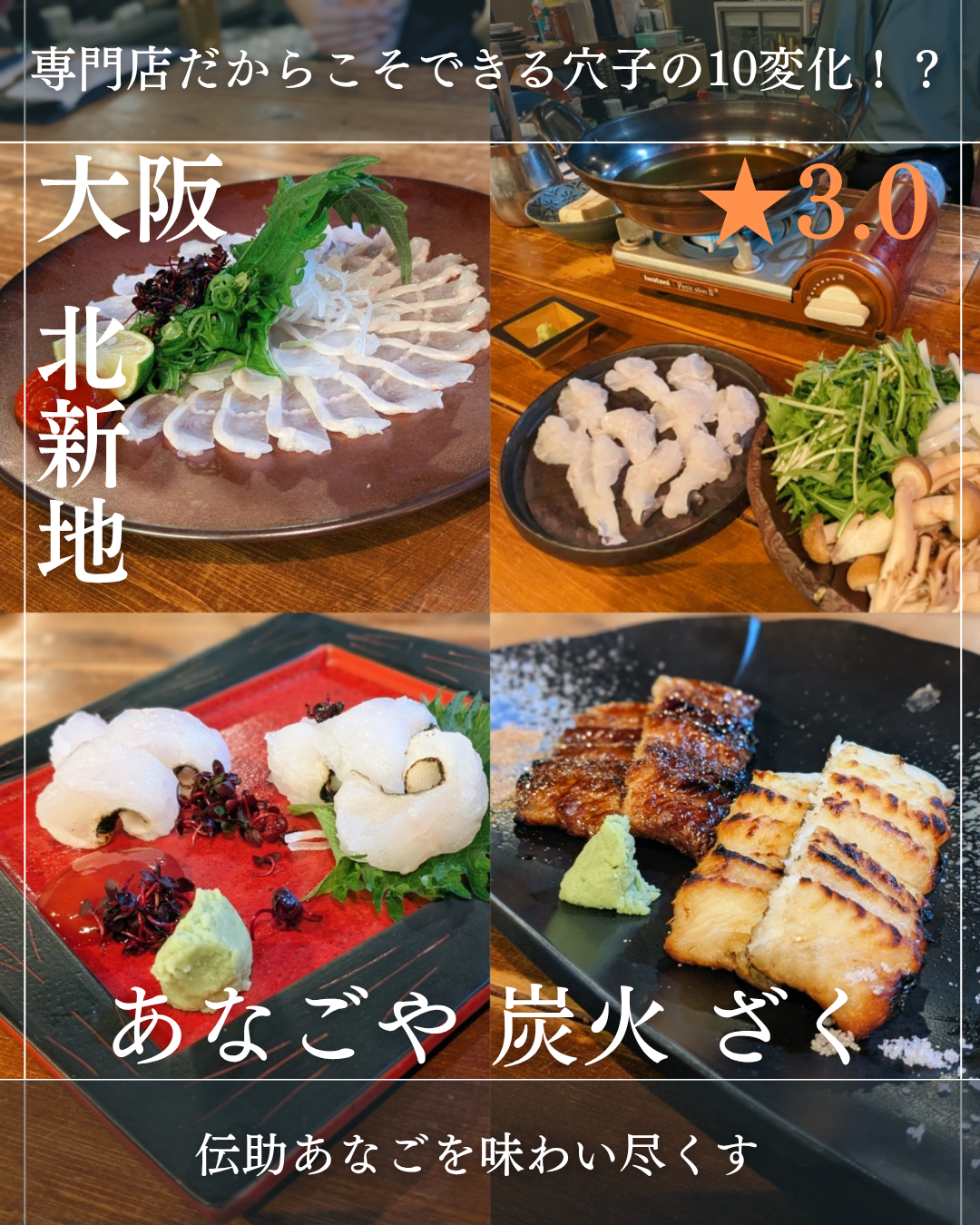 あなごや 炭火 ざく(北新地駅・居酒屋、あなご料理)